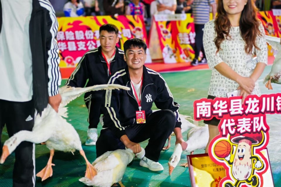 hf, 的乡村赛场 hf, 的乡村赛场